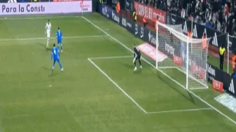 辽篮逆转福建终止六连败，弗格全面发挥，张镇麟双20数据，高登31分11板独树一帜